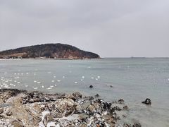 -烟墩角天鹅湖