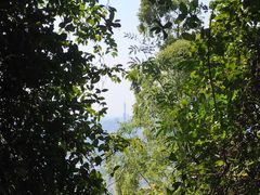 -火炉山森林公园