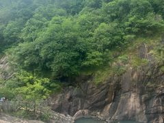 -广州白江湖森林公园