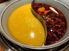 -青瓷火锅料理(西单大悦城店)