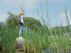 -沙澧河风景区