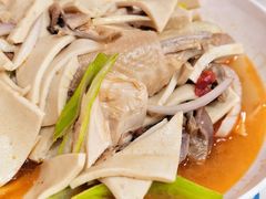 -马黑哥椒麻鸡(清江山水店)