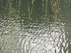 -上海市龙华烈士陵园