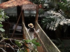 -正佳雨林生态植物园
