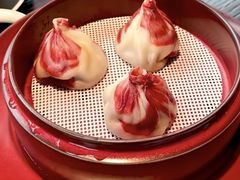 -随堂里