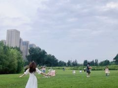 -长白岛森林公园