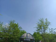 -南山植物园