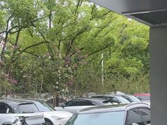 -上海浦东smart汽车全功能店(金桥店)