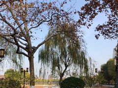 -济南大明湖景区