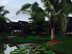 -中国科学院西双版纳热带植物园