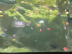 -苏州海洋馆