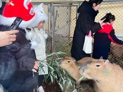 -西霞口神雕山野生动物世界