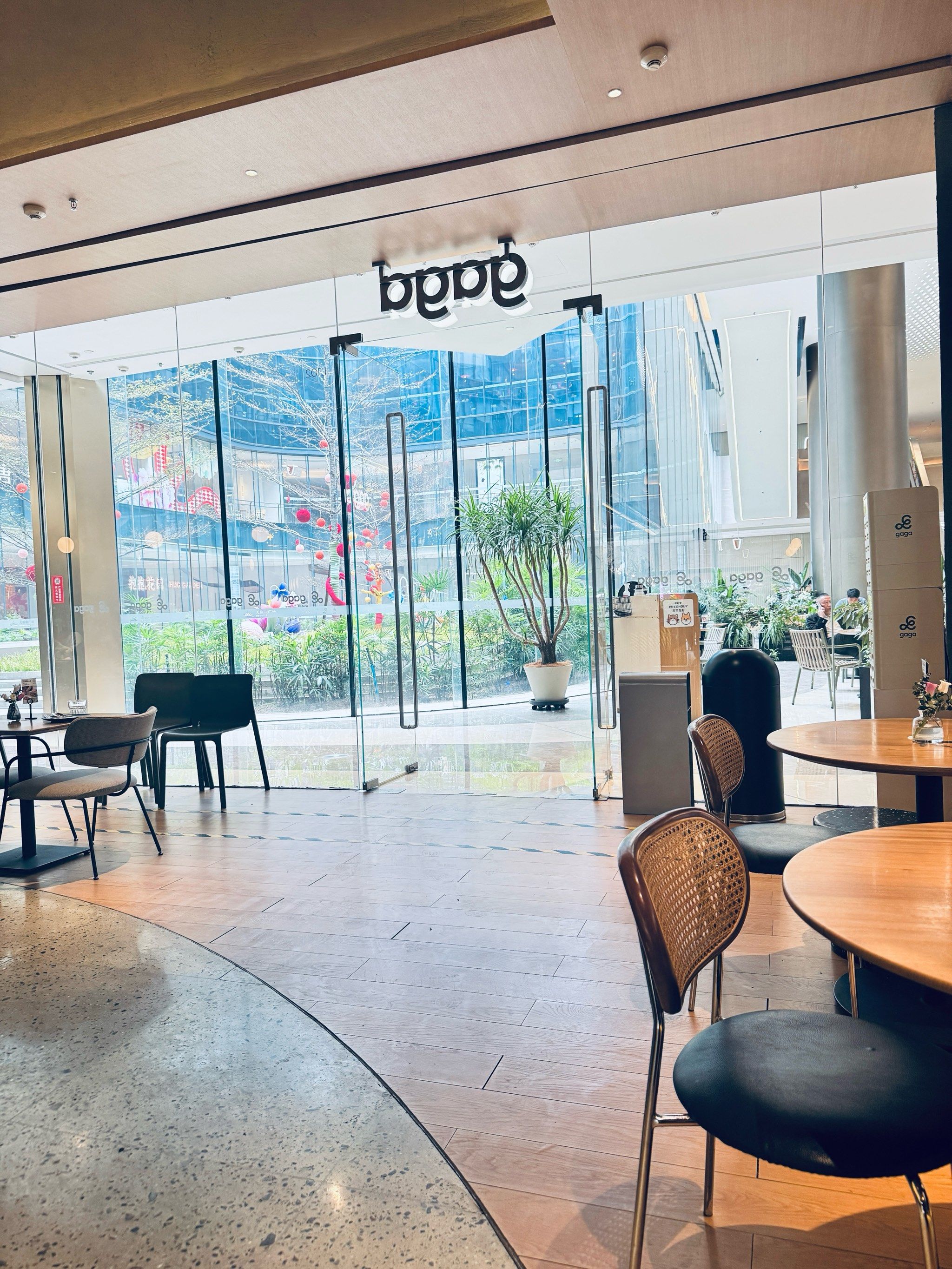 宝藏西餐厅!gaga治愈了我的选择困难症