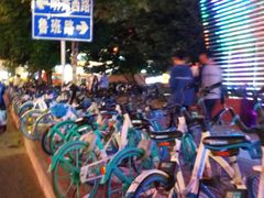 校门-广西大学(大学东路校区)