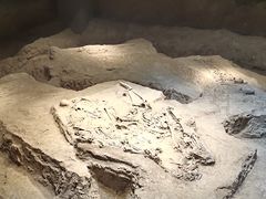 -侵华日军南京大屠杀遇难同胞纪念馆