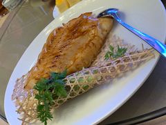 -顺德美的万豪酒店-万豪中餐厅