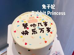 ins手绘蛋糕-兔子妃私人定制蛋糕(城南花苑南区店)