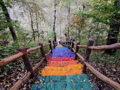 -水泉溪自然风景区