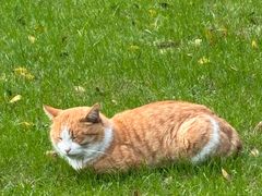 -上海博物馆-停车场