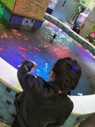 -堂堂乐儿童乐园(阳光100欧特福店)