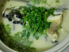 android_upload_pic-天乐农家鱼头王(天目湖店)