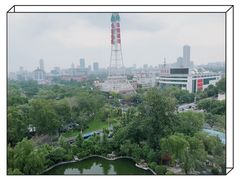 -山东大厦