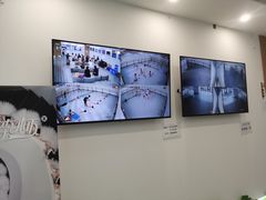 -中央芭蕾舞团·中芭艺蕾(酒仙桥明星校区)
