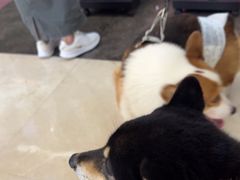 -福田卓悦INTOWN购物中心