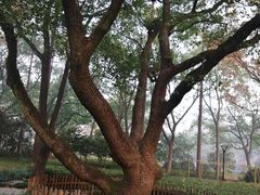 -徐家汇源景区-衡山公园