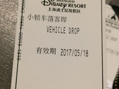 -迪士尼乐园停车场