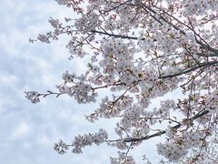 -龙美术馆(西岸馆)