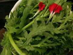 -宽坐火锅(万象城店)