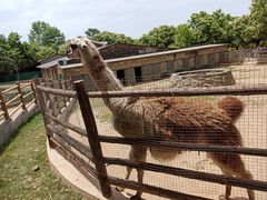 -西安秦岭野生动物园