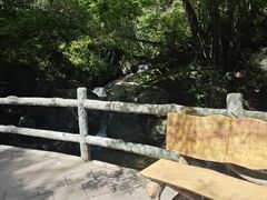 -王顺山国家森林公园