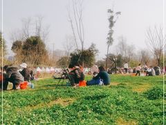 -两河城市森林公园