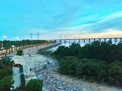 -宝安西湾红树林湿地公园