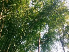 景点-三江森林温泉度假区