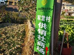 -军营村