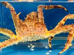 -北京华联生活超市(庄河世纪海云天店)