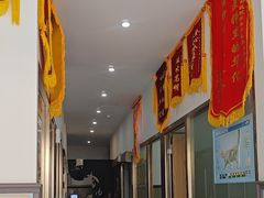 -伟伟宠物医院·瑞派猫友好医院·猫科(光谷店)