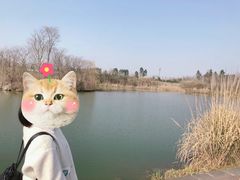 -白鹭湾湿地公园