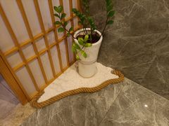 -上鸿汤泉•易营+