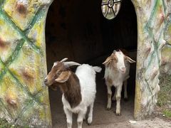 -哈尔滨北方森林动物园