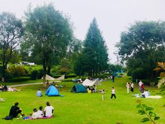 -铁山坪森林公园