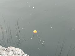 -团结湖公园