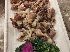 -国惠大酒楼(宝龙店)