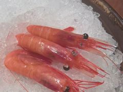 -枫千叶精致料理