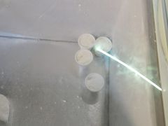 -洪馨椰子