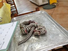 -荔城生鲜盛宴(番禺旗舰店)