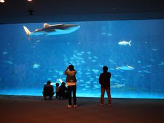 -鹿儿岛水族馆